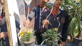 चित्र उपलब्द नहीं है