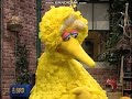 Kids Favorite Songs Clip