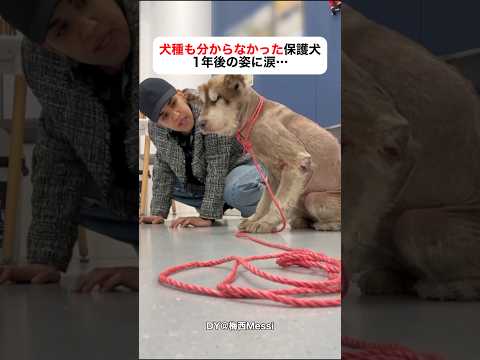 愛されると、こんなに変わる