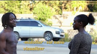 midollar  sio nusu visualizer