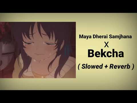 Maaya Dherai Samjhana ( Slowed And Reverb ) - a letter to crush (last day) - BEKCHA