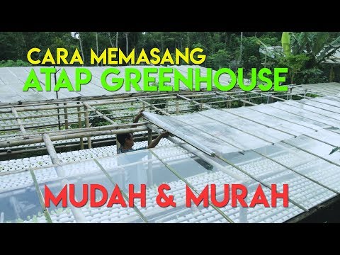 , title : 'Cara Memasang Atap Greenhouse SEDERHANA by PAK IQBAL'