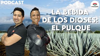 EL PULQUE: LA BEBIDA DE LOS DIOSES