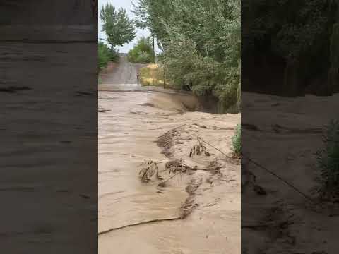 La Voz TV- (Video Gentileza) Tricao Malal