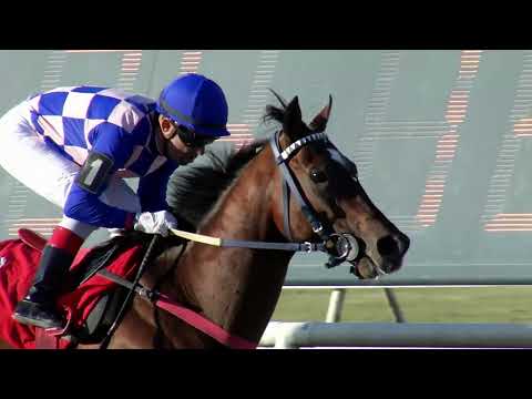 221009 c07 A Castro Perez/ KARMANGUIA (BRZ)