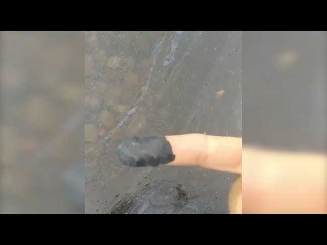 У природоохранной прокуратуры возникли подозрения на загрязнение залива Якоби в Иркутске