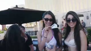 Claude VonStroke presents The Birdhouse