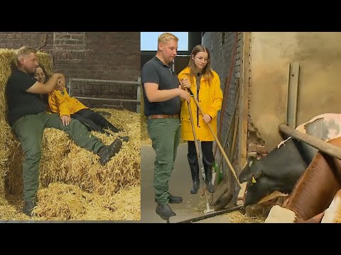 Die Wahrheit über Jenny: Warum sie Daniel nach der Geschäftsreise mit anderen Augen sieht