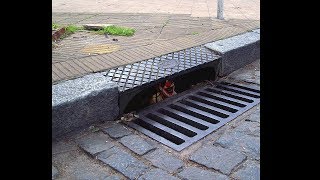 the clown tried to grab me...