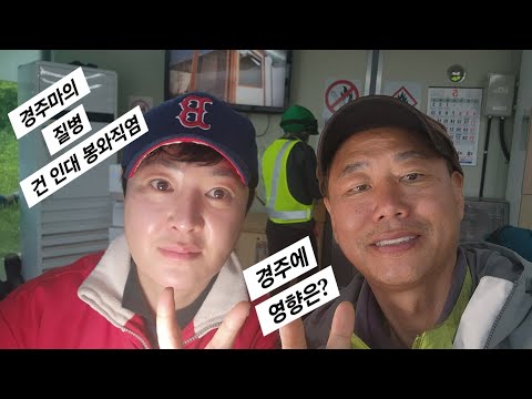 봉와직염 건 인대 근육파열은 왜 발생하나?/초기에 발견하는게 중요/경주마의 부상에 대하여 알아보자/오늘 같은 경주로 말 기수는 무섭다