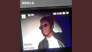 Walk Of Life Music Video