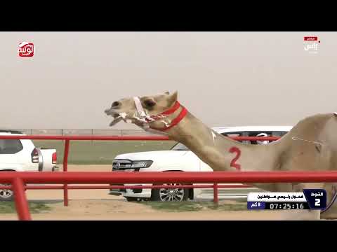  ش 2 خنجر الزمول (نصيبان) حمد نهيان سالم العامري 12:45:86 بطولة الكويت الدولية 2026/02/12 الشهيد 