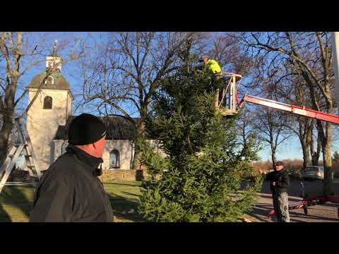 Julgranar i Vikingstads församling