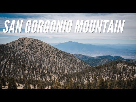 Hiking San Gorgonio Peak via the Vivian Creek Trail