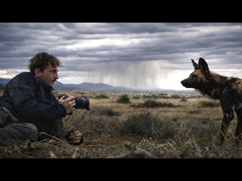 MADIKWE - Un secret africain préservé