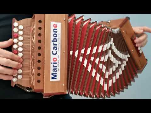 8 Bassi - PIZZICA DI SAN VITO DEI NORMANNI - Prima versione - Brano -Accordion Diatonic - Organetto