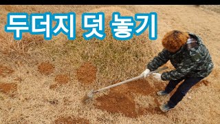 두더지 잡기위해 아버지 산소에 덧을 놓았습니다