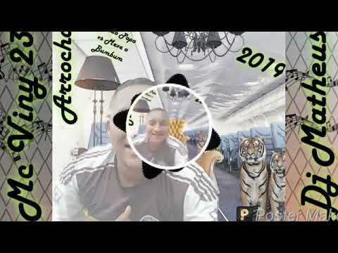 Mc viny 23 arrocha diferenciado 2019