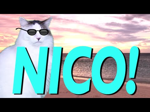 download lagu mp3 mp4 Nico Cat, download lagu Nico Cat gratis, unduh video klip Nico Cat