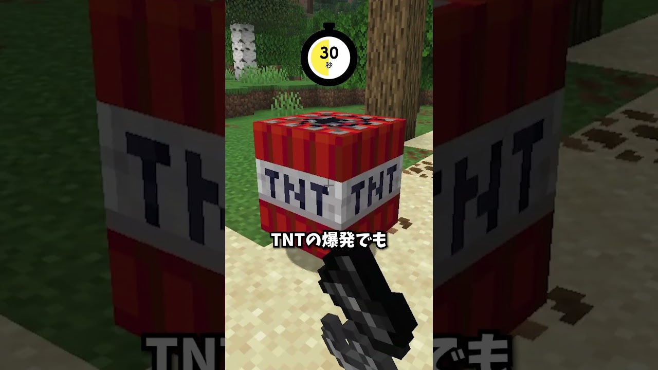 マイクラブロック当てゲームの難易度が鬼過ぎた…#チャレンジ #最難関 #minecraft #マインクラフト