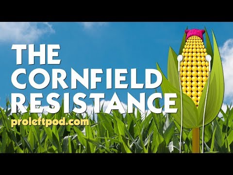 The Professional Left Podcast September 29, 2017