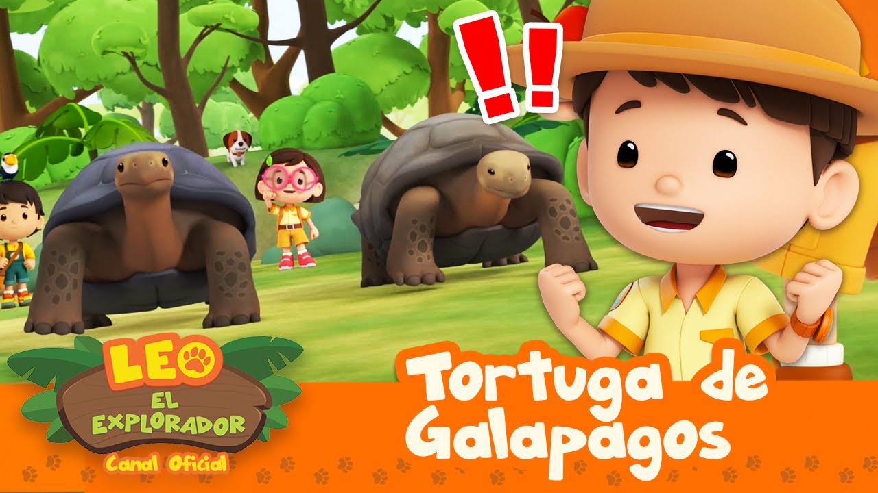 ¡CARRERA DE TORTUGAS!! ¿Quién GANARÁ?! 🐢💯 | Tortuga de Galápagos | Leo, El Explorador | Animación