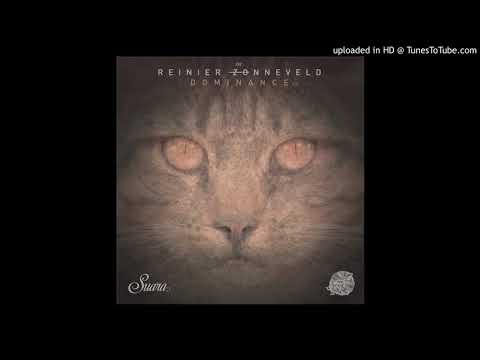 Reinier Zonneveld - Dance With The Devil (Original Mix)