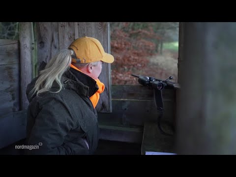 Drückjagd auf Wildschweine in Schildfeld