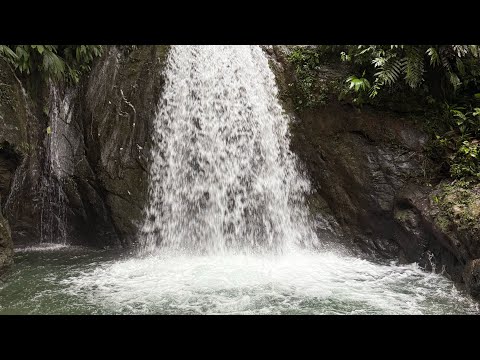 Documental Tadó Diferente. Primera parte. 