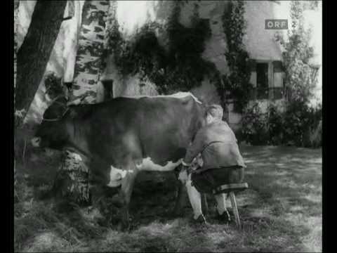 Rosen in Tirol Finale