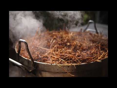 Mestre Irineu - 31 -Papai Samuel