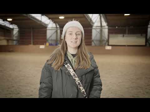 Perky's Dog Training video.