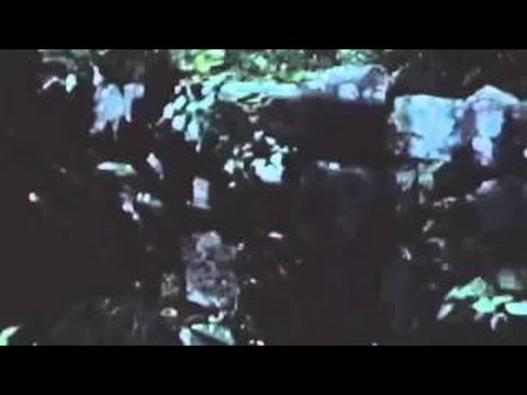 DOKU Terra X - 01 - Südseeinseln aus Götterhand