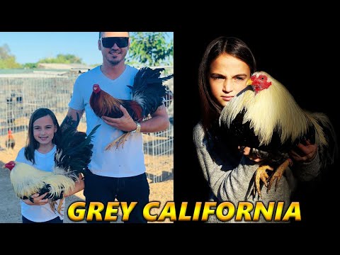 Beautiful Grey Gutierrez Farm California Beautiful Birds Farm Visit