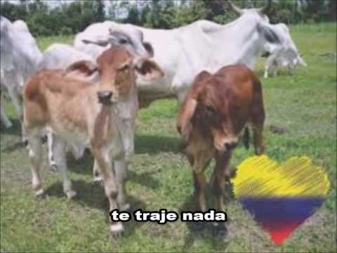 VESTIDA DE GARZA BLANCA con letra CRISTOBAL JIMENEZ