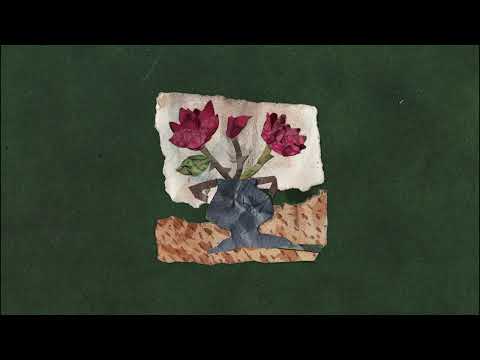 The Roses - Amber Run (Official Visualiser)