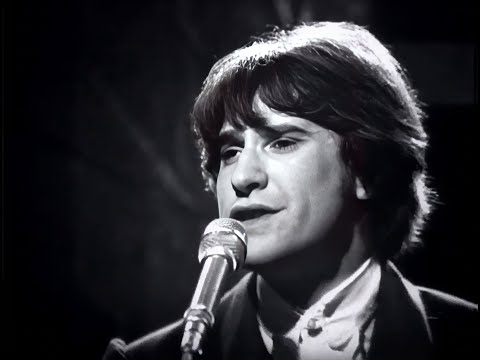 The Kinks – You Really Got Me YouTube preview
