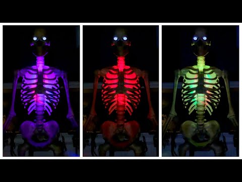 12FT SKELETON LED LIGHTING KIT Halloween Prop Accessory Review! (Home Depot 2023 Exclusive)
