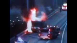 No Whales On Fire Now!