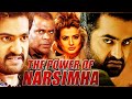 The Power Of Narsimha Jr NTR South Superhit Action Dubbed Movie Amisha Patel