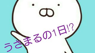 うさまるの日常を想像してみた。