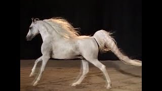 Jon and Vangelis - State of Independence