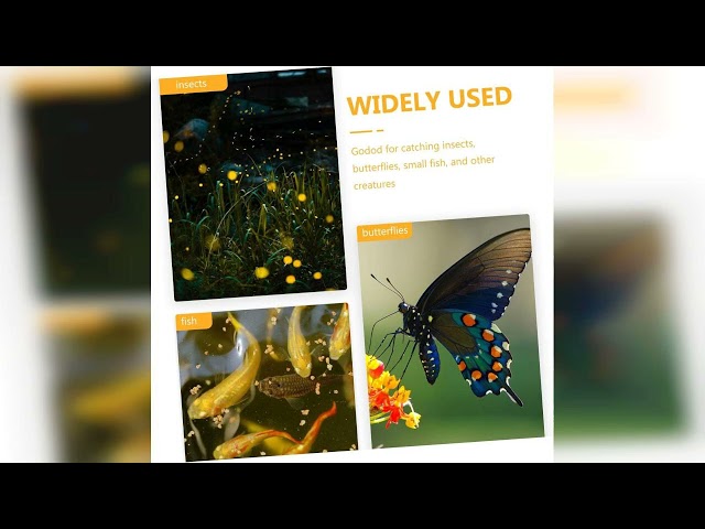 Vídeo relacionado con SJUNJIE 2 Piezas Butterfly Net Exterior Red de Pesca Extensible Viene con 2 Cubos Plegables Red de Captura de Insectos Adecuado para Atrapar Mariposas Peces Pequeños Camarones e Insectos