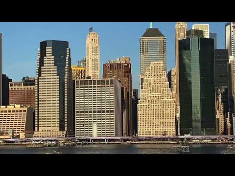 Elements of Art: Looking at Lines