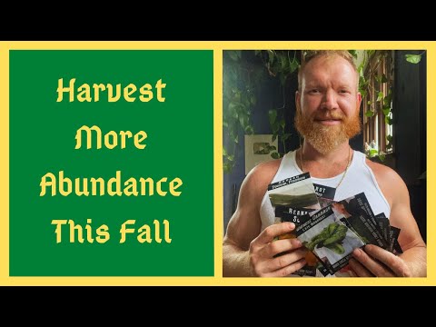 What Seeds To Plant In July For Fall Harvest (zone 4,5,6,7)