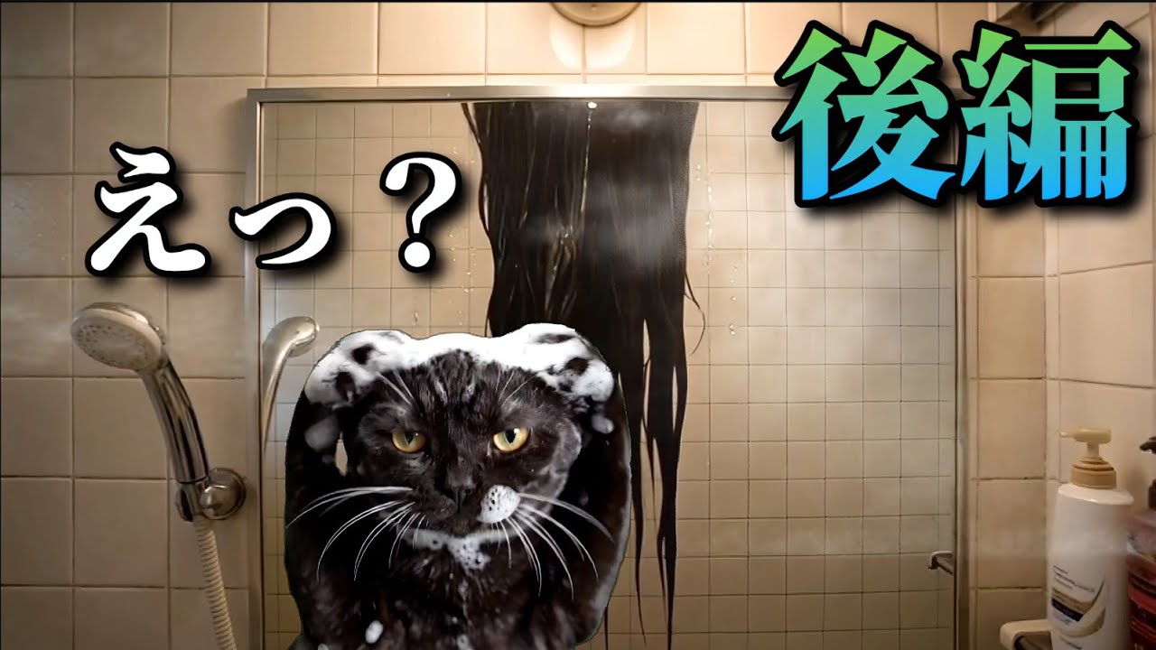 家のお風呂で起きた怖い話　後編　#猫ミーム #ホラー #心霊 