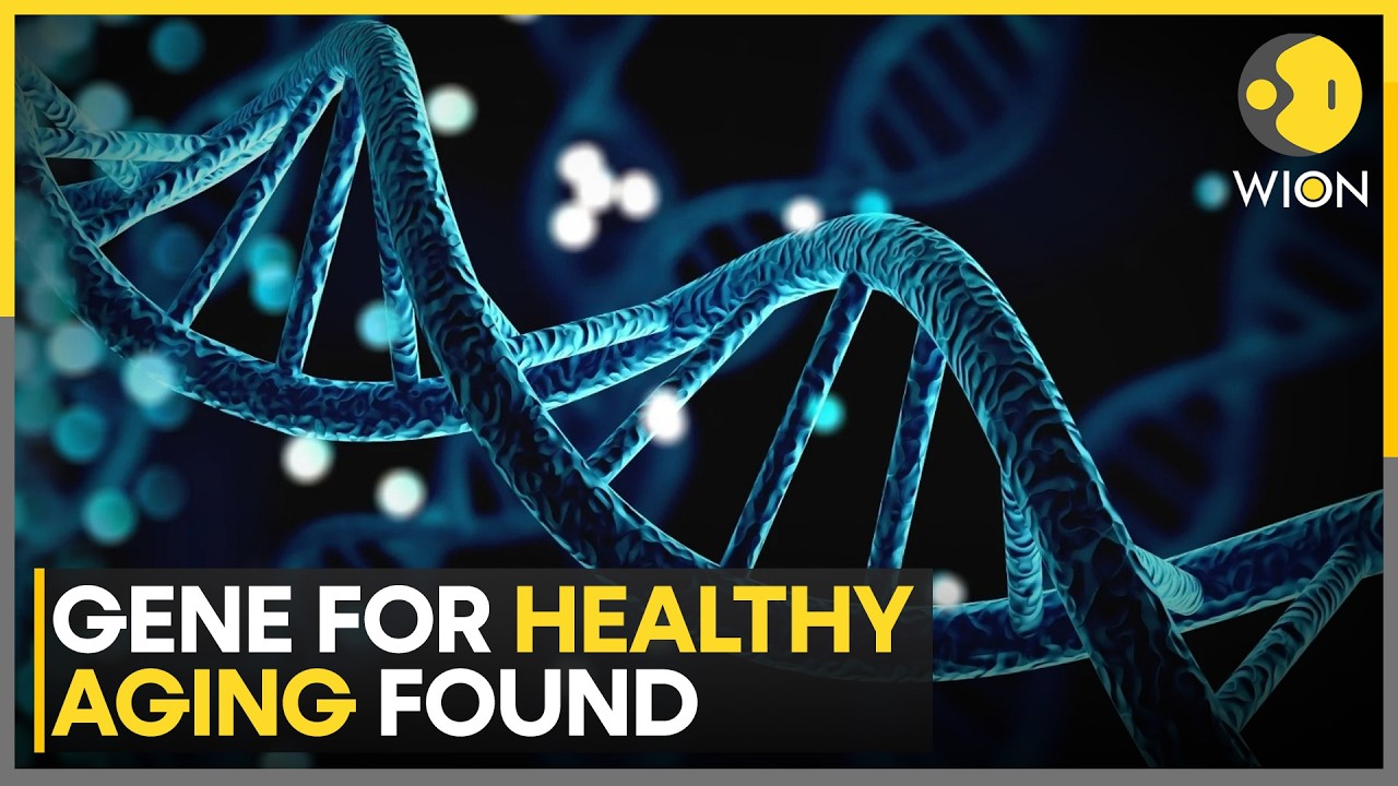 Rare Genetic Clue For Healthy Aging Found | WION News