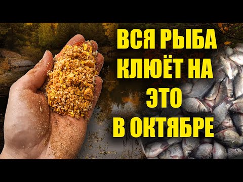 В ОКТЯБРЕ ВСЯ РЫБА КЛЮЁТ НА ЭТО