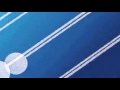 TVN 2006