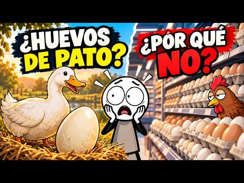 LOS PATOS PONEN HUEVOS… ¿POR QUÉ CASI NUNCA LOS VEMOS EN EL SUPERMERCADO?